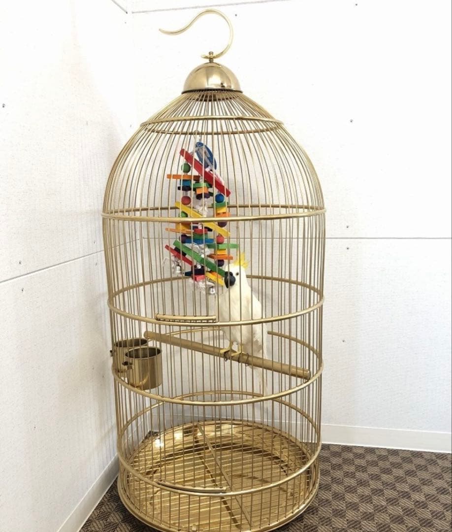 大型鳥かご　オウムなど大型鳥用