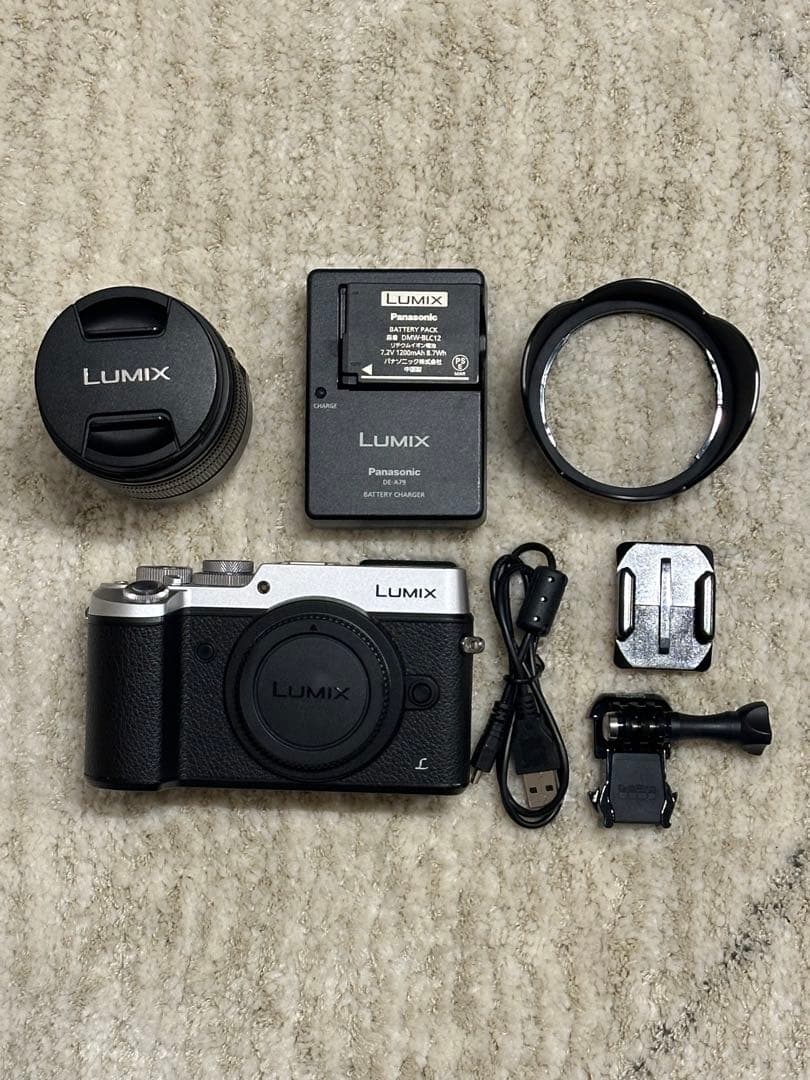 【専用】LUMIXミラーレスカメラDMC-GX8 レンズH-FS14140-KA