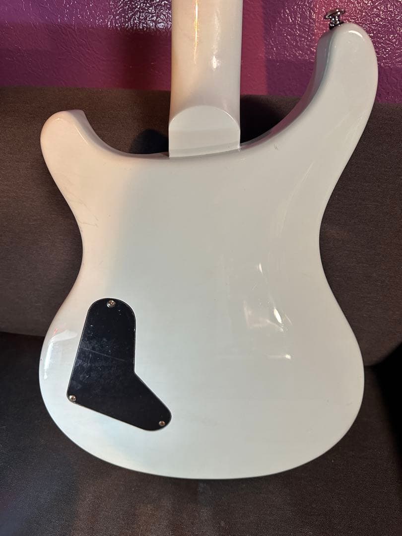 ＰＲＳ　SE Tim Mahoney