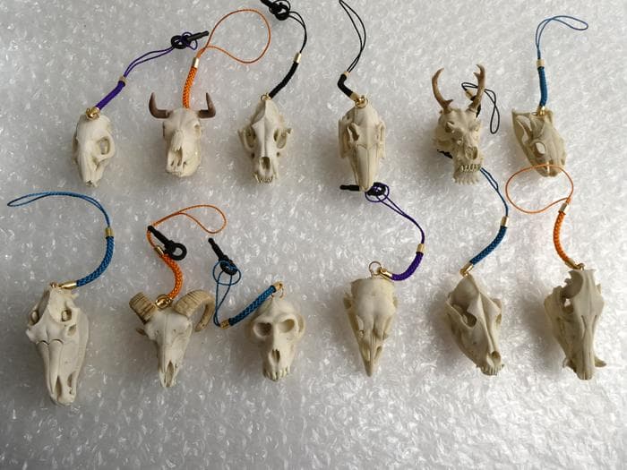 ホネコレ！ 十二支動物頭骨根付 コンプリート