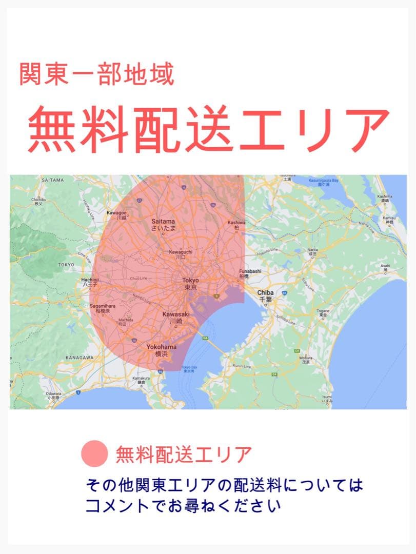 超特価！BIKKE ビッケ⭐️人気ブリヂストン子供乗せ電動アシスト自転車Y3110