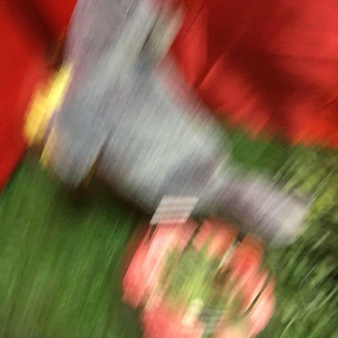 1月17日誕生日⚫️なめらかアザラシ⚫️Ty ビーニーズ Beanie Baby