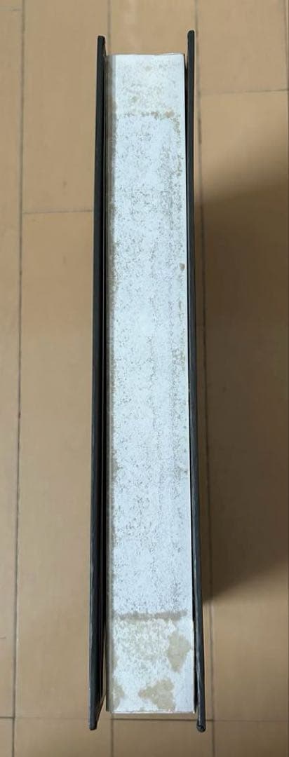 三葉虫化石　山東省