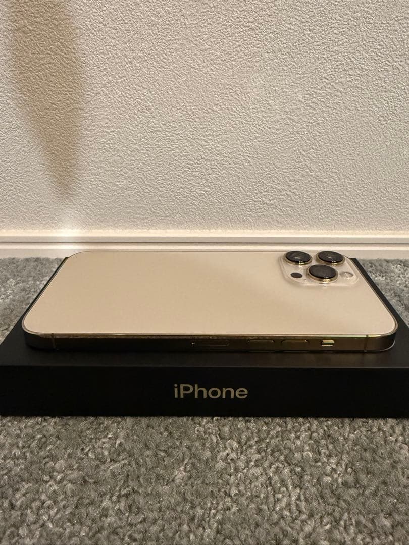海外版 Apple iPhone 13 Pro Max 256GB SIMフリー