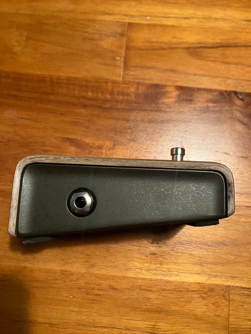 L.R. Baggs Align Series Active DI