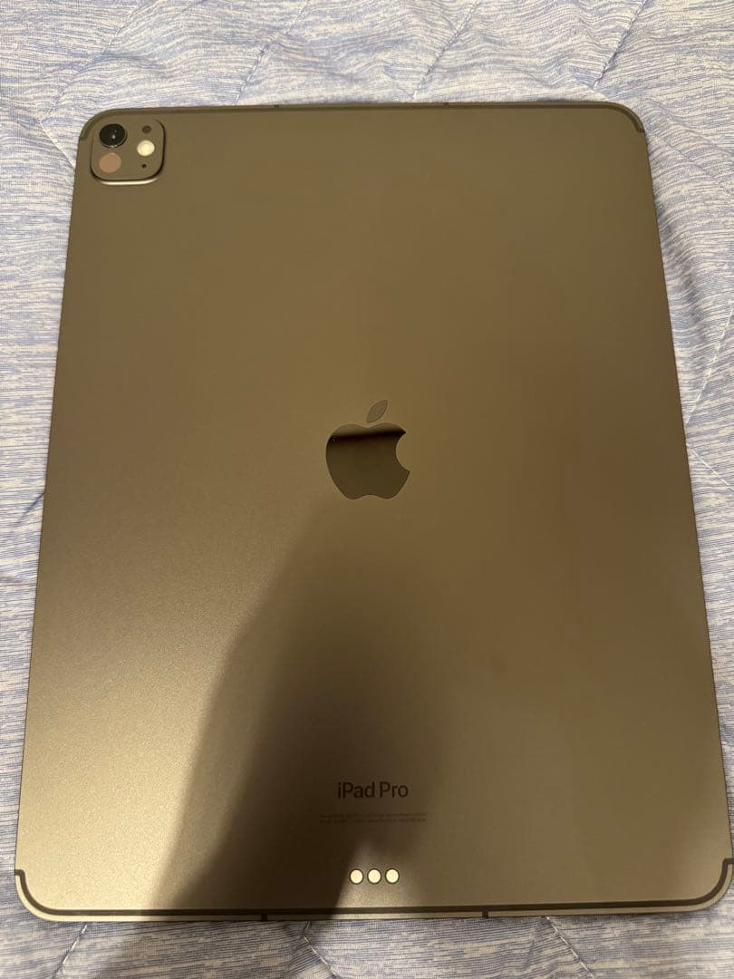 iPad Pro (M4)1TB セルラー 13インチ アップルケア譲渡可能