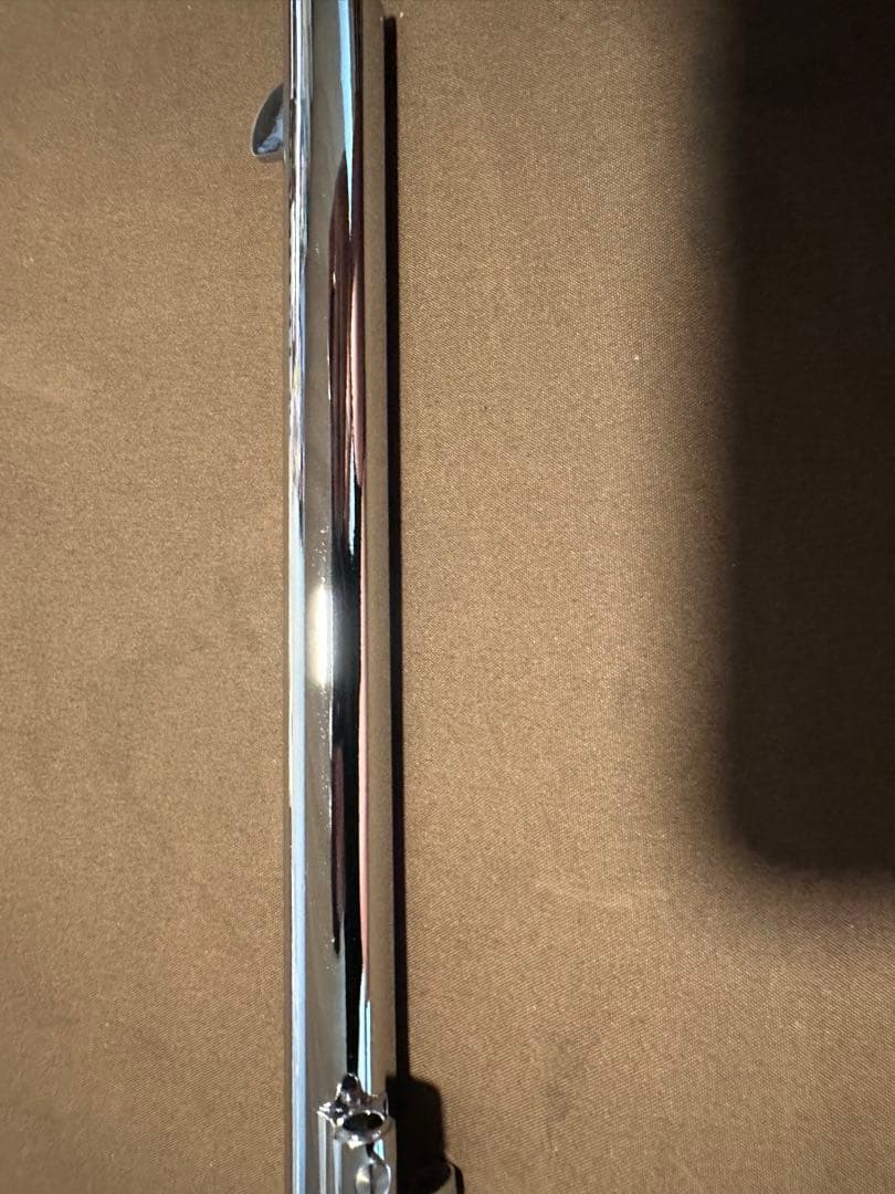 最終値下げ HWS バントラインスペシャル オールシルバーabs