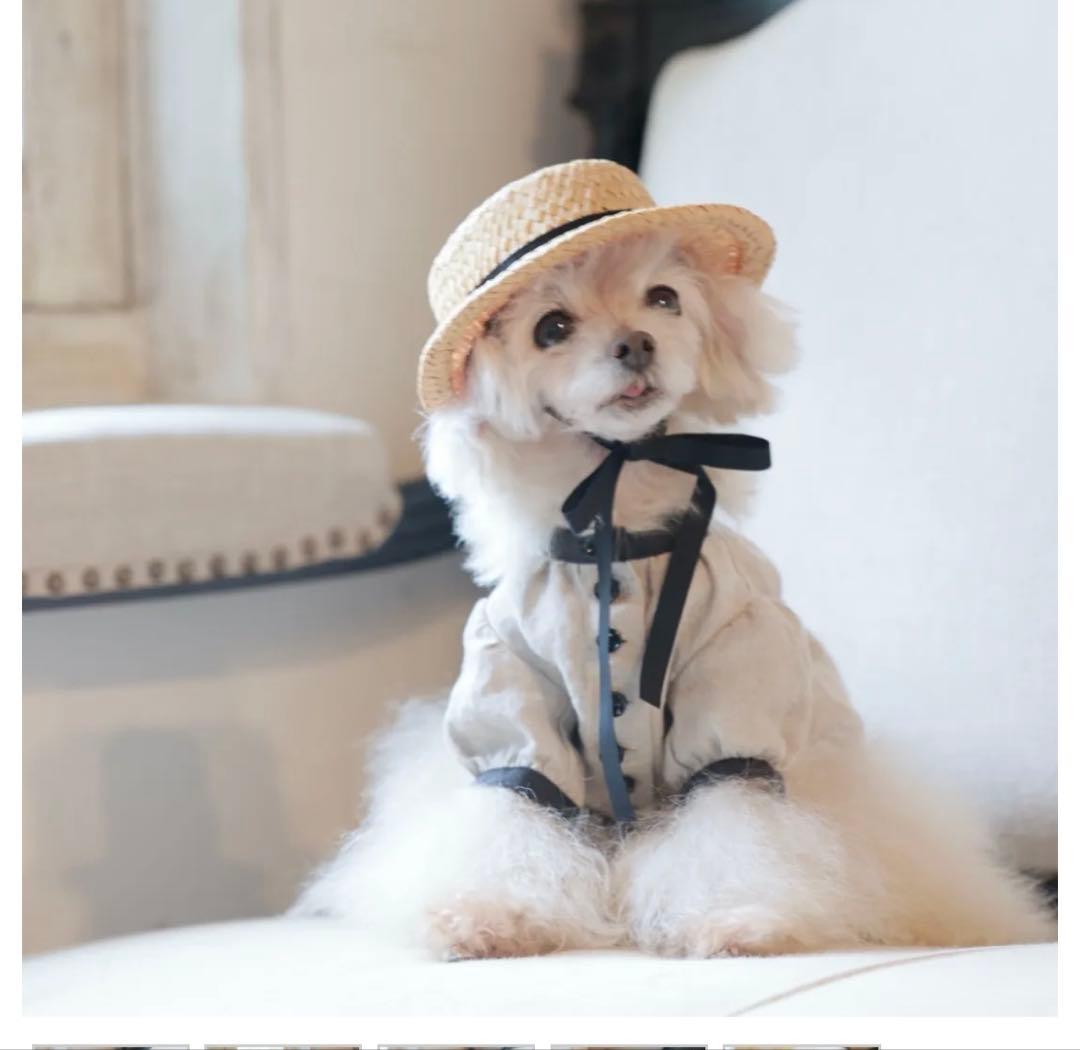 犬服 ボタン付きブラウス