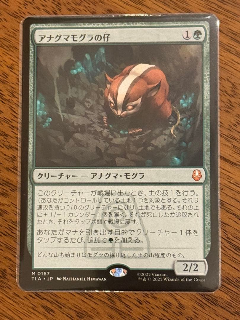 MTG　アバター:伝説の少年アン　アナグマモグラの仔　日本語