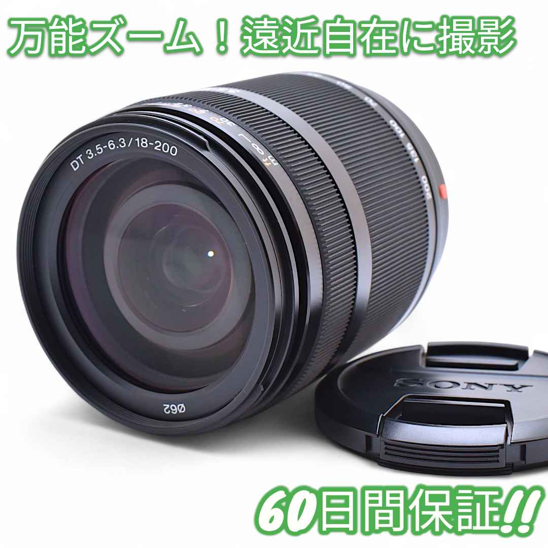 美品 Sony DT 18-200mm F3.5-6.3 #8857