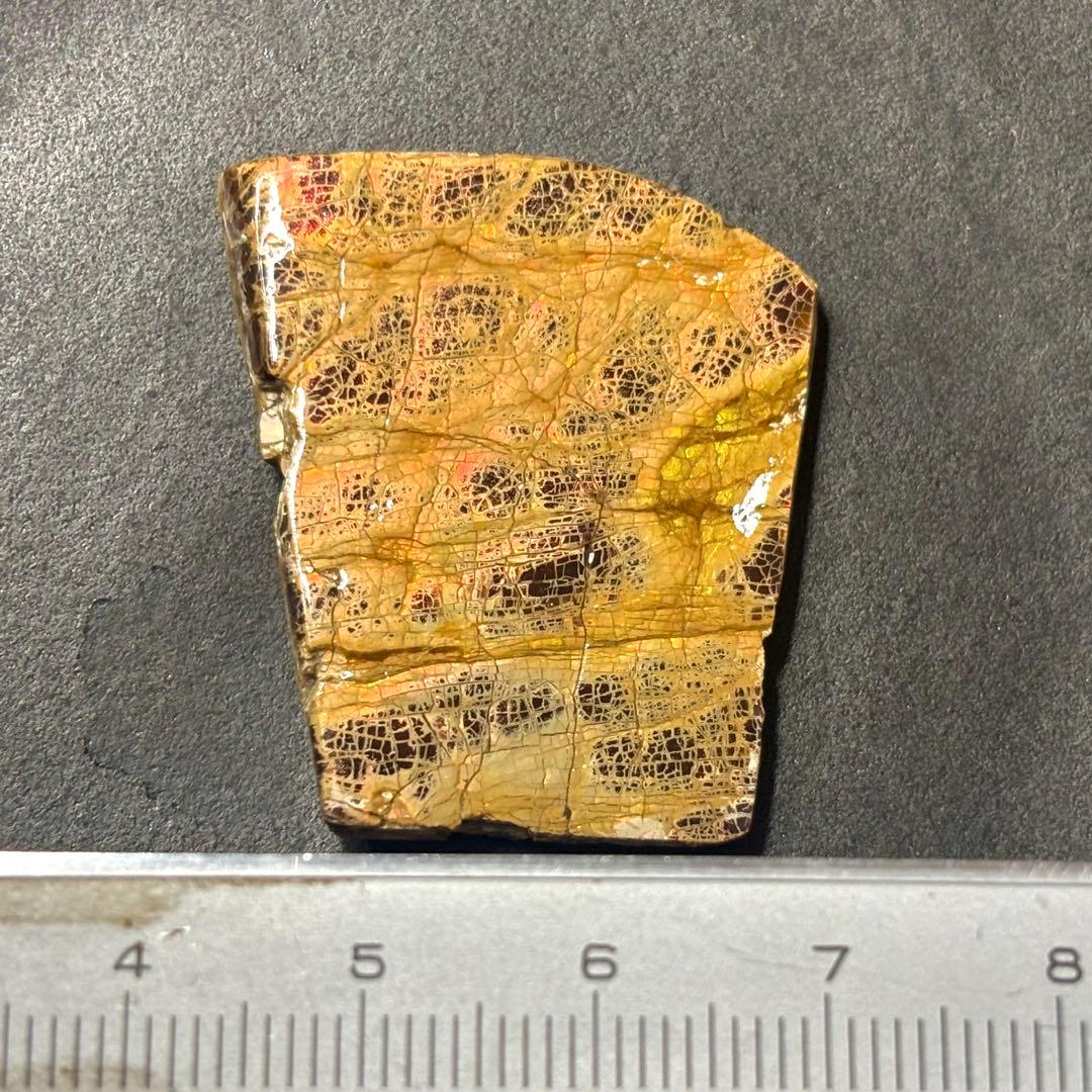 カナダ産 アンモライト 樹脂スタビライズ加工 天然宝石 化石 標本 両面遊色あり