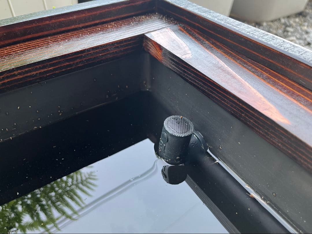 60Lトロ舟と木枠のセット　簾と産卵床のおまけ付き　メダカ　ビオトープ