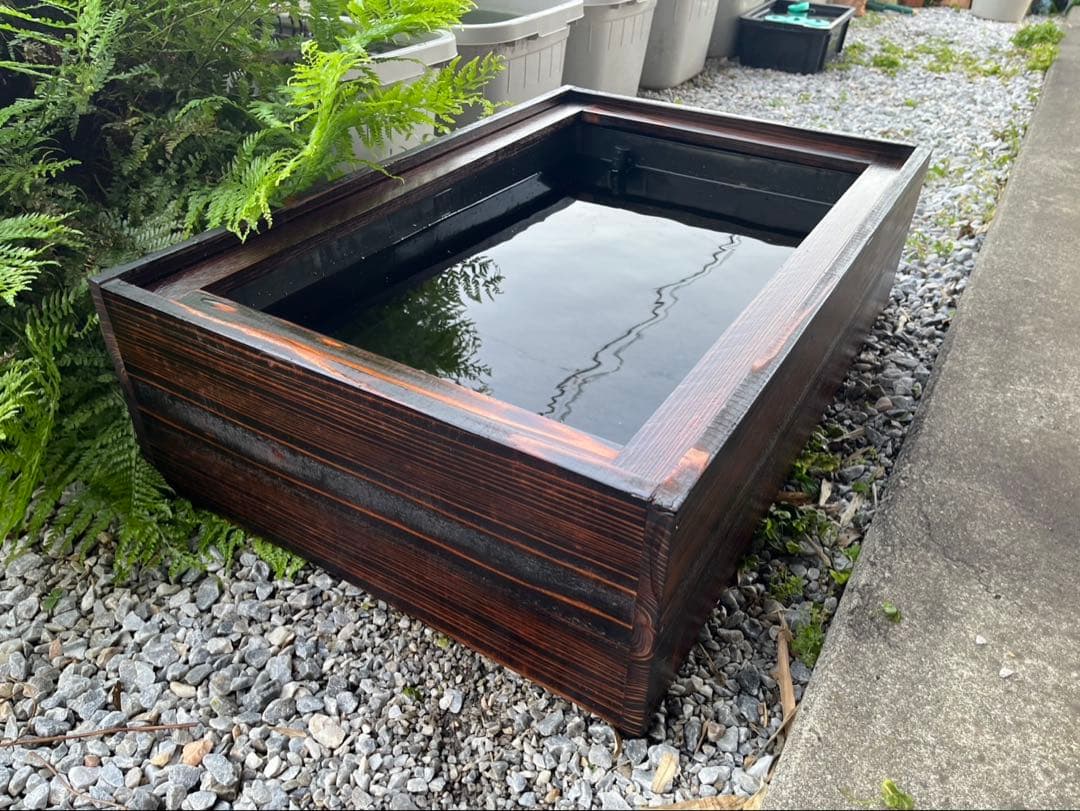 60Lトロ舟と木枠のセット　簾と産卵床のおまけ付き　メダカ　ビオトープ