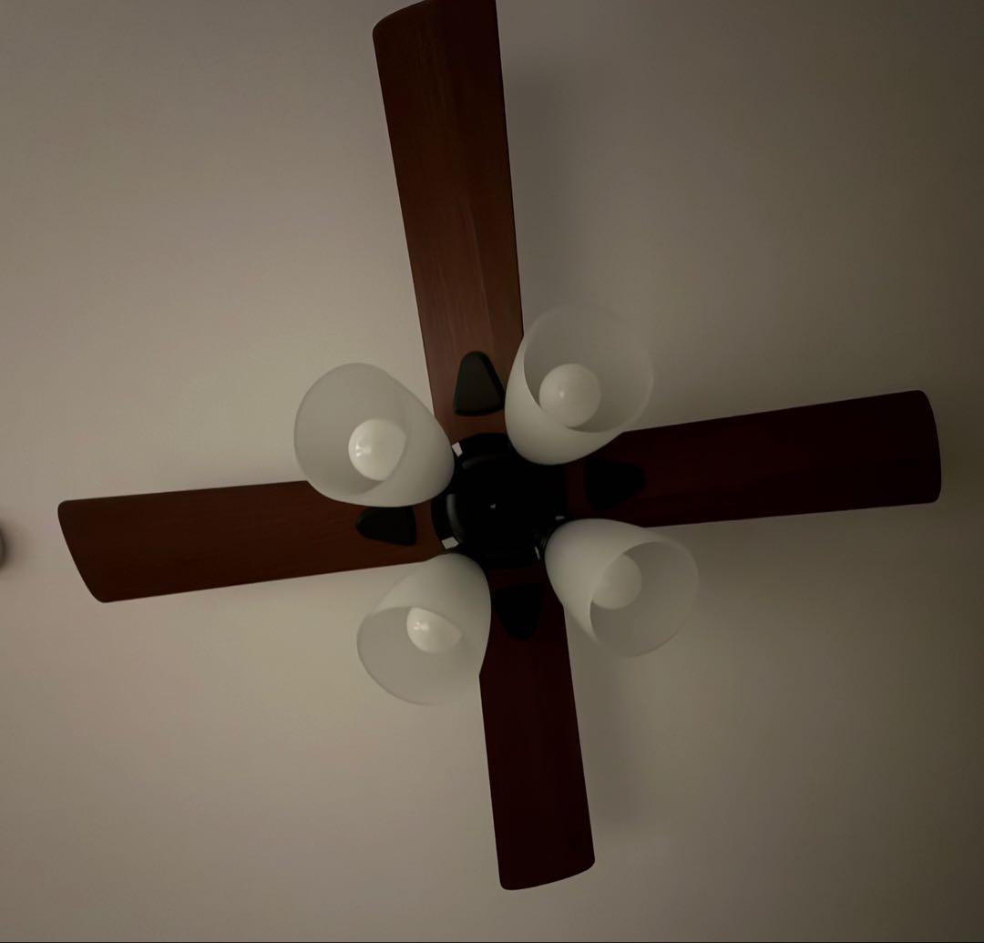 lowya シーリングファン　照明