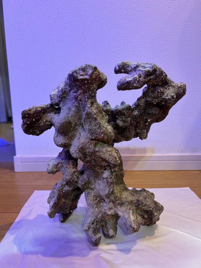 ライブロックモジュール　アクアリウム　擬岩