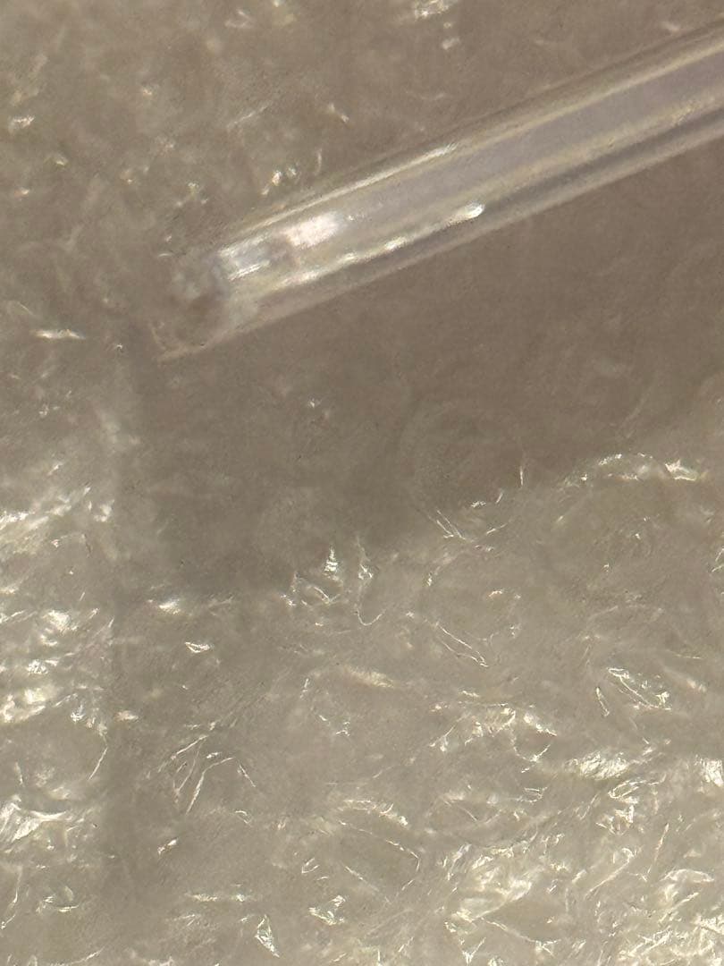 バオッキー VSTAR PSA10