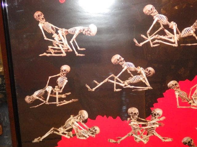 00'S★カーマ・スートラ★スカル★SEX★アート★ポスター★ビンテージ★悪趣味