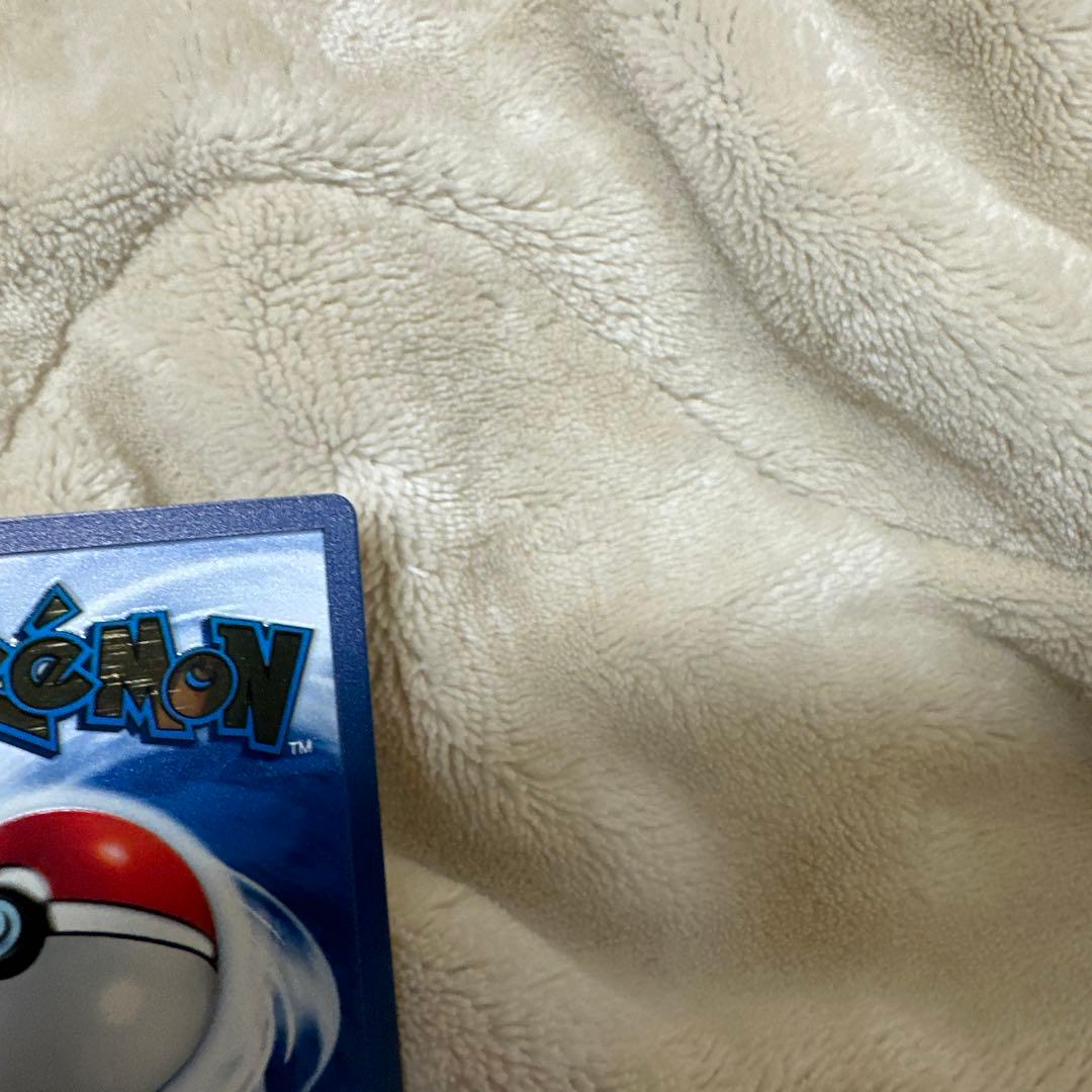 リザードン　海外　ステンレス　美品