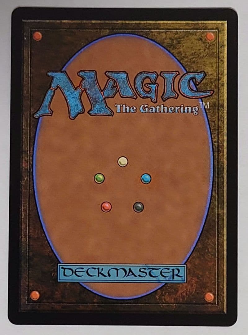 嵐の討伐者、エルズペス　日本語　ハローfoil