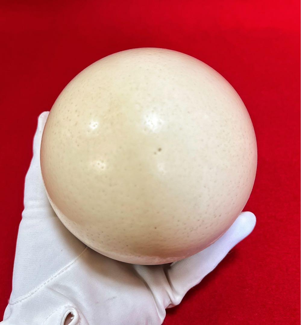 美術品 ダチョウ卵彫刻 置物 在銘 南アフリカ產