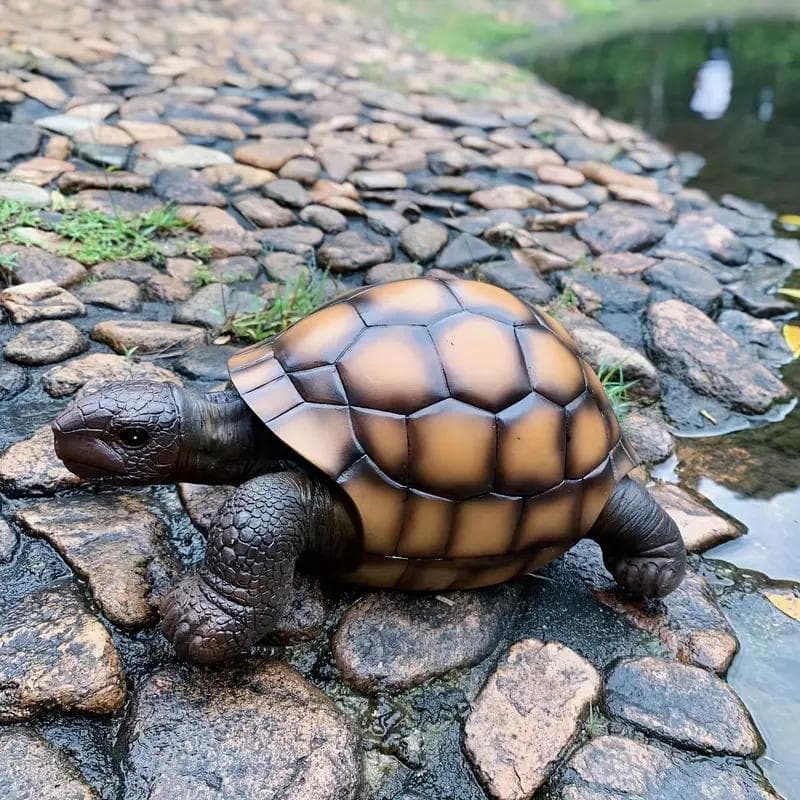 【輸入品】オブジェ 亀 癒し リアル 造形 かわいい インテリア 置物