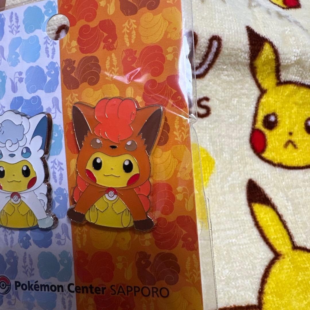 アローラロコン&ロコンポンチョのピカチュウ ピンズセット