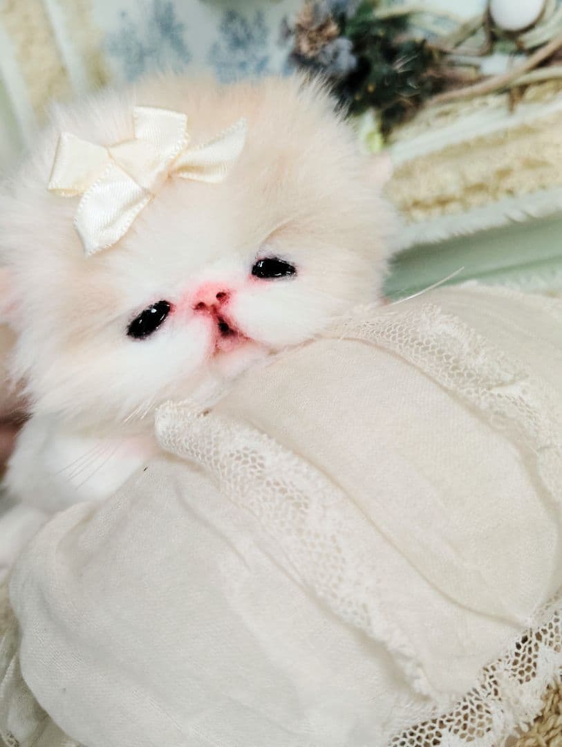 子猫ベビー♡お腹ぽっこりちゃん♡アートドール♡ぬいぐるみ♡