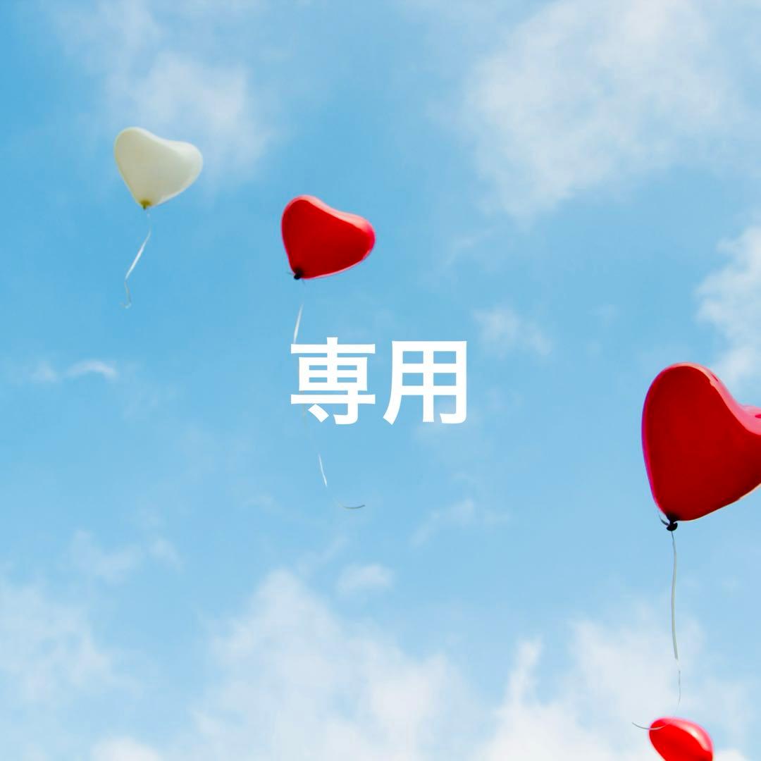 特価!!ニナファーム サンテアージュ オキシリア モンコパン(犬猫)【3点】