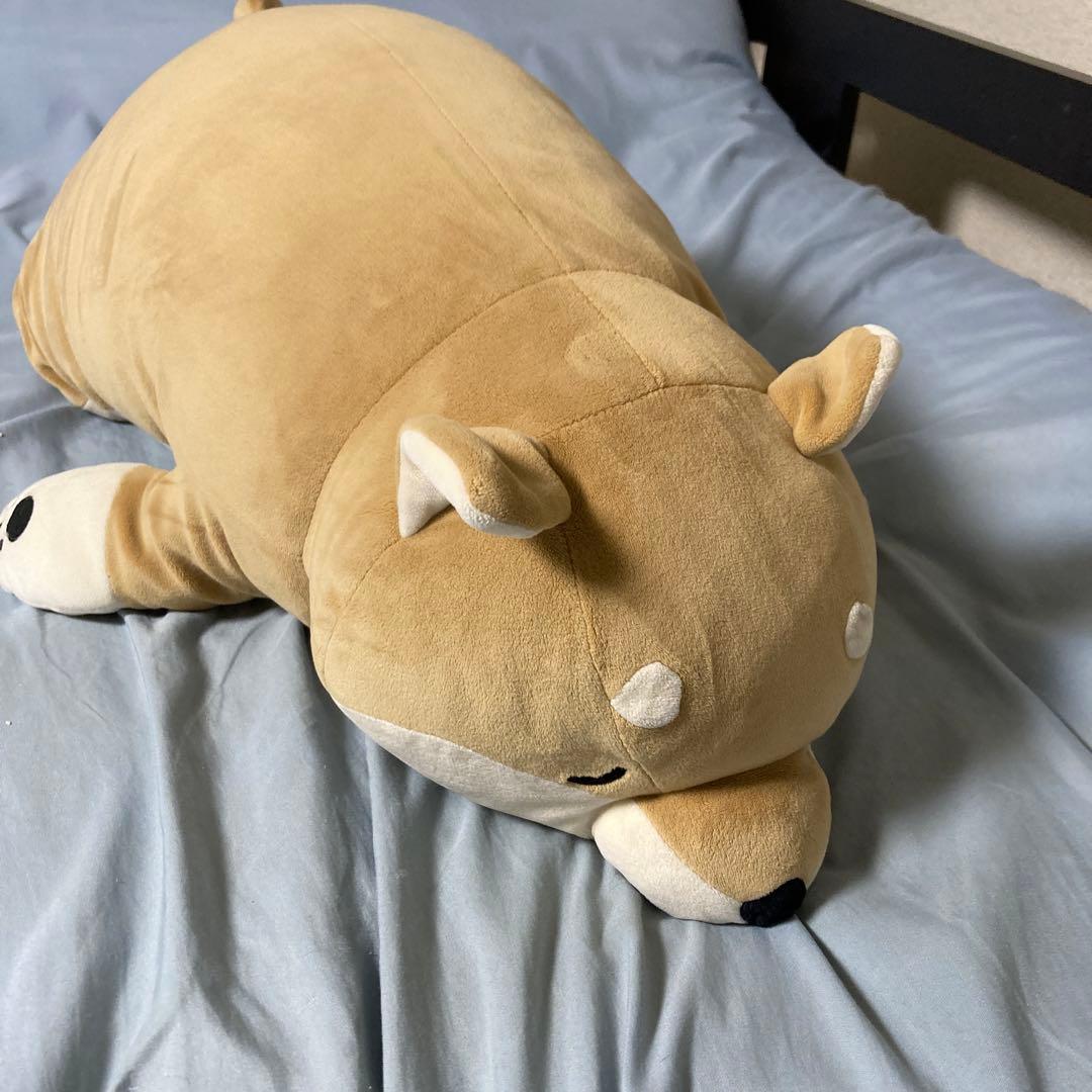 しば犬です。私の汗と涙が染み付いています。