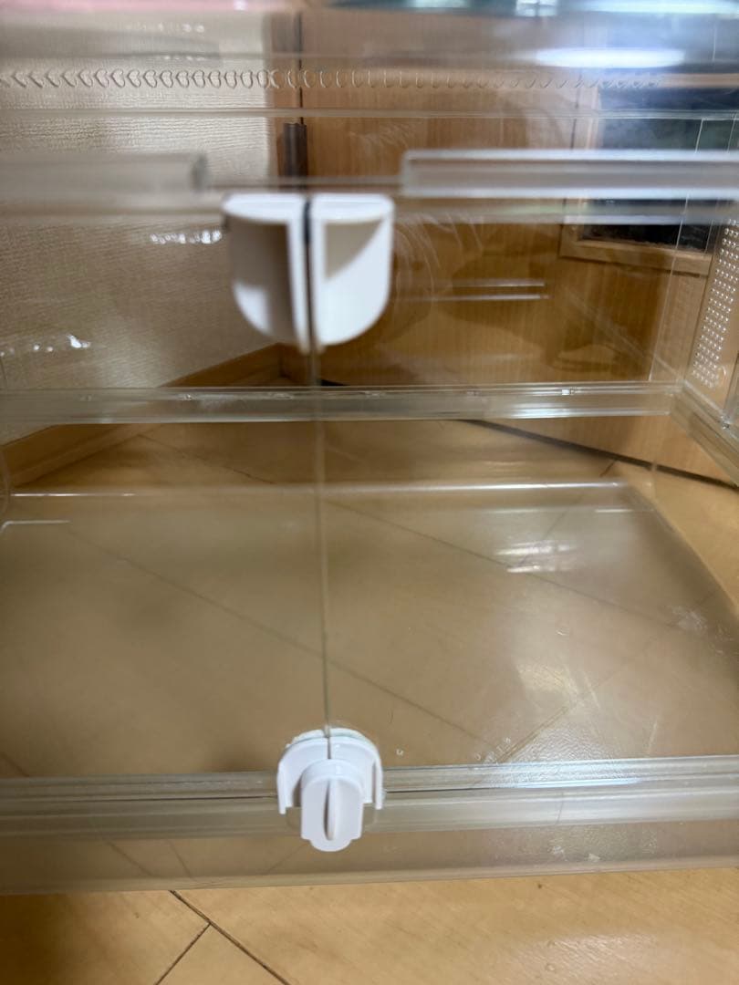 GEX グラスハーモニー600 BUCATSTATEセット