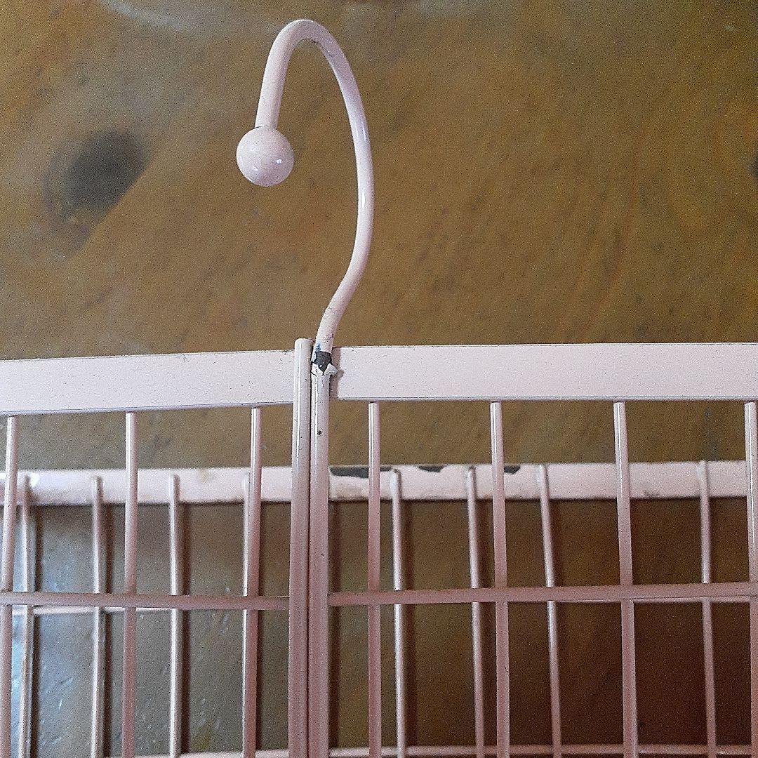 Hiyokoさまご確認用