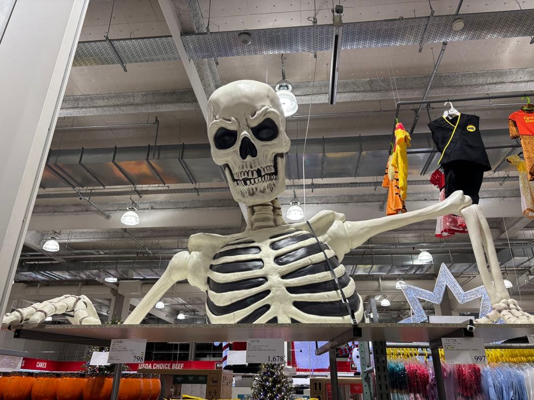 スケルトンモデル コストコ　ハロウィン