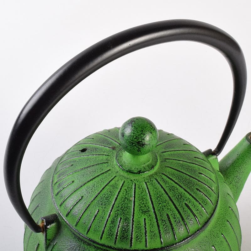 煎茶道具　南部鉄器　 盛栄堂造　カラー急須　若草色　C　R7575