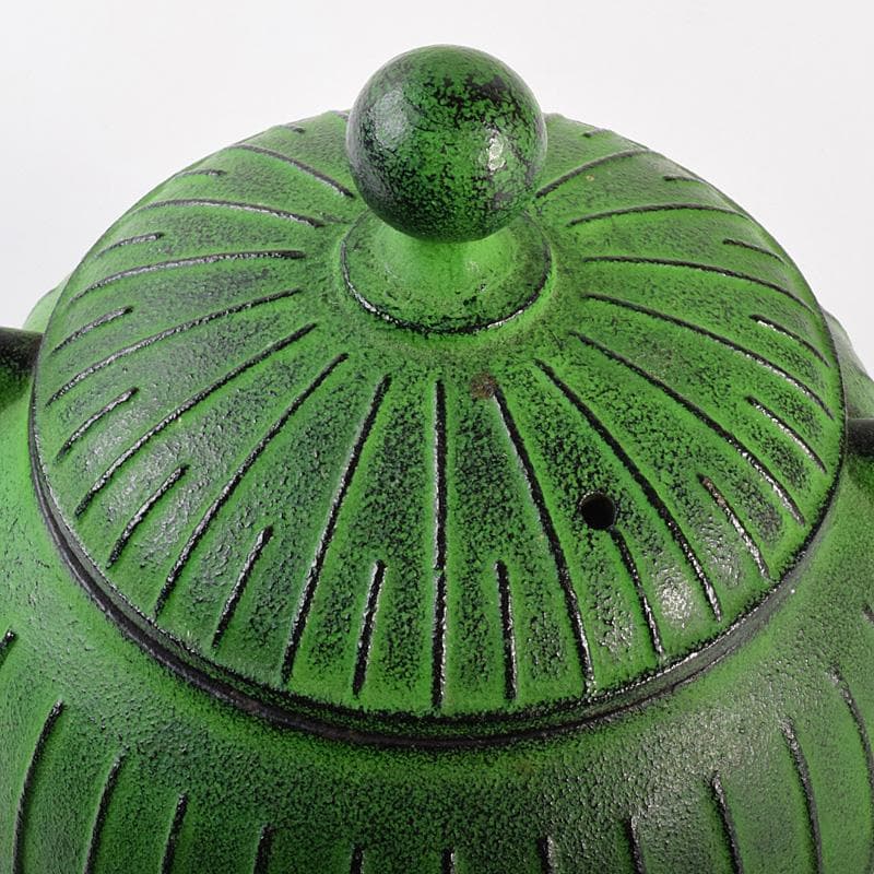 煎茶道具　南部鉄器　 盛栄堂造　カラー急須　若草色　C　R7575