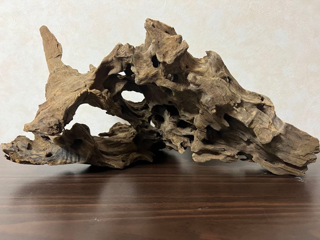 (XM-202) 流木　マシンガンウッド　アクアリウム沈水確認済　ブランチウッド