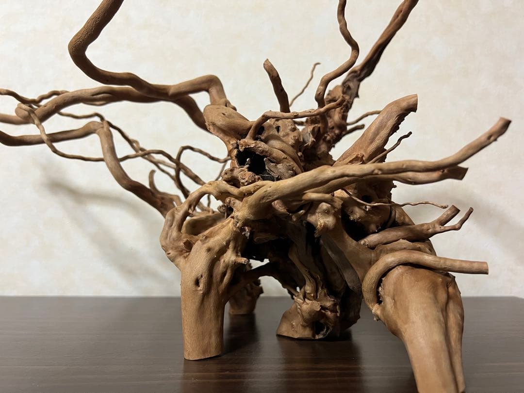 11206 ブランチウッド　流木　アクアリウム　沈水確認済