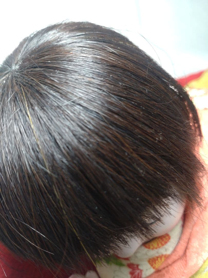 【雛蔵】這子・故松乾斎東光作