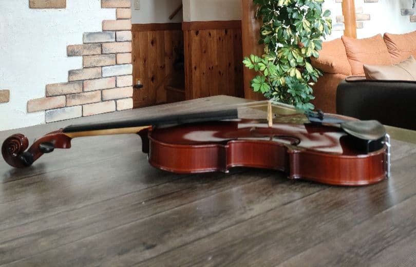 Ars Music Meister　4/4 　チェコ　バイオリン　2015