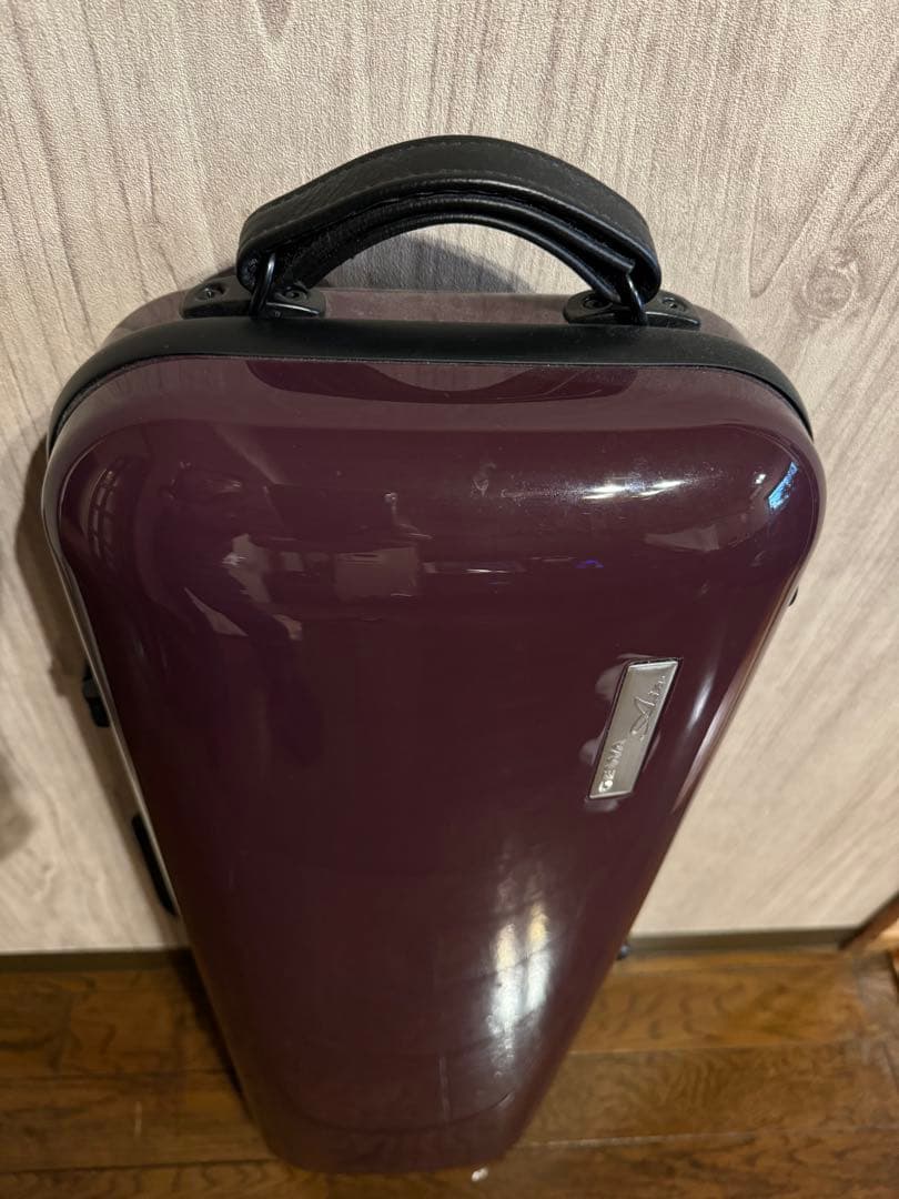 GEWA air 2.1 バイオリン4/4 オブロングケース