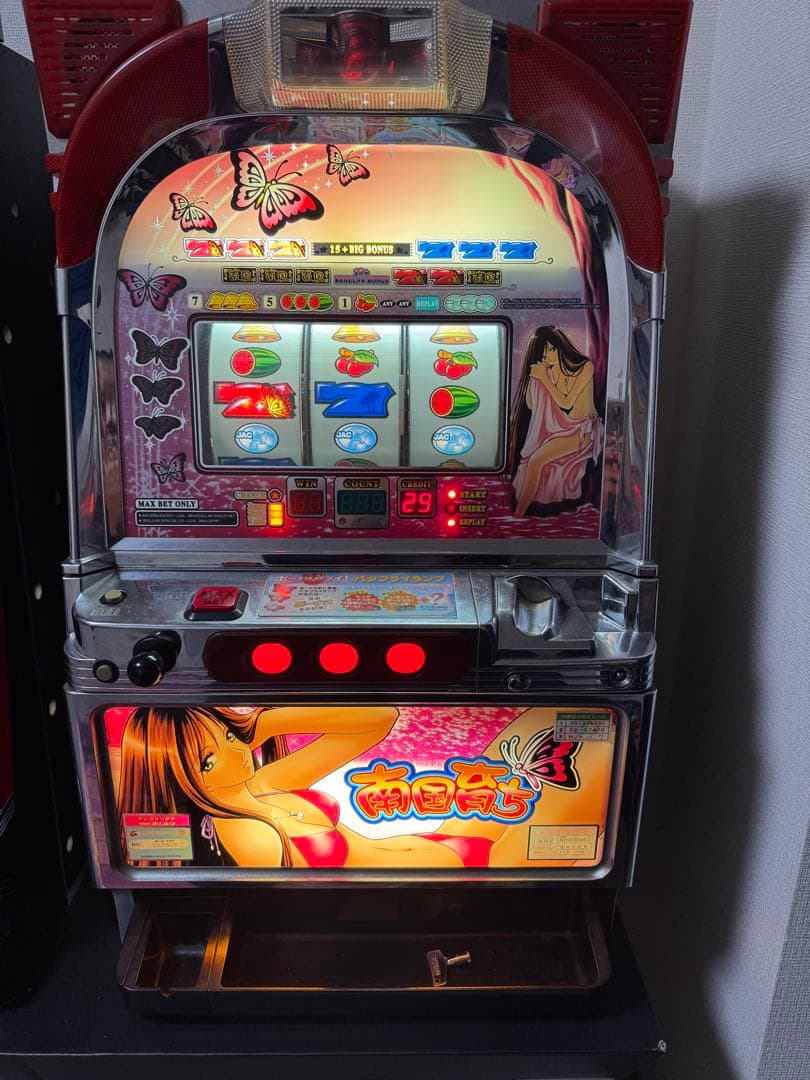 南国育ち 4号機 メダル不要機