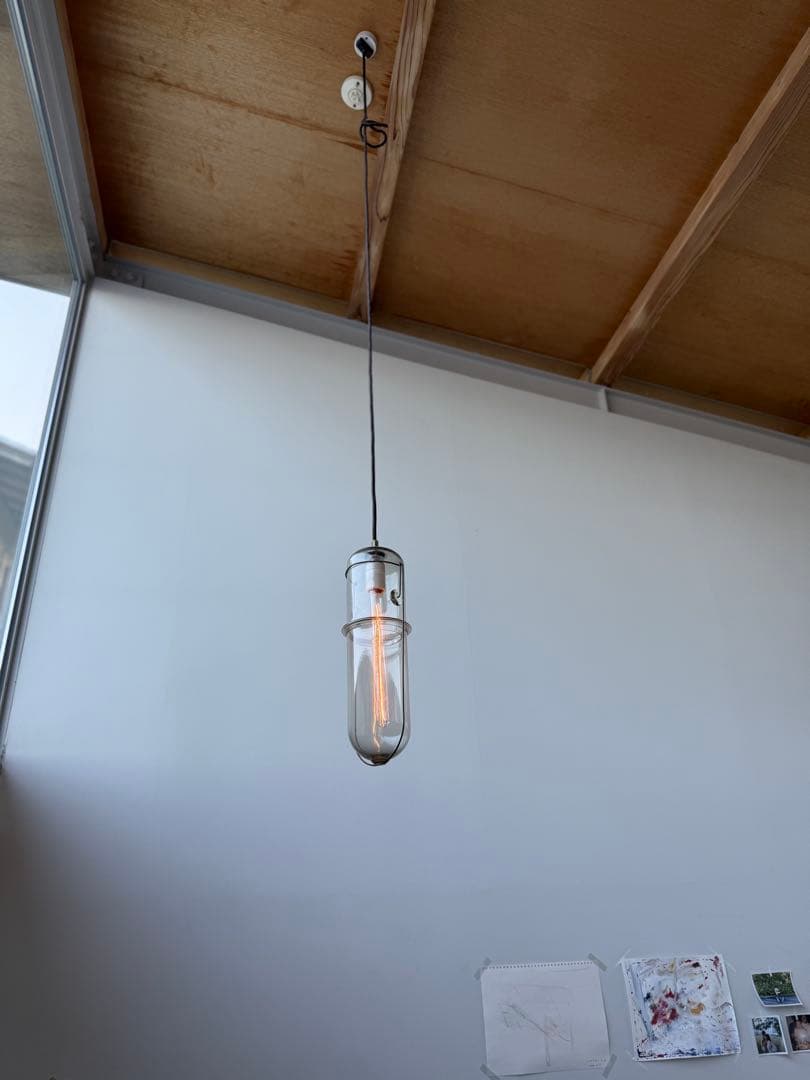 ピーターアイビー　Peter Ivy ライト　電球新品2つ付けます！