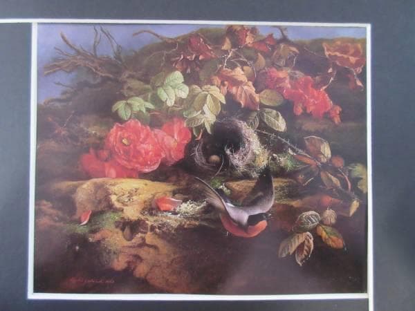 チューデ・グロンランド　バラと小鳥　図録・レゾネより　額付