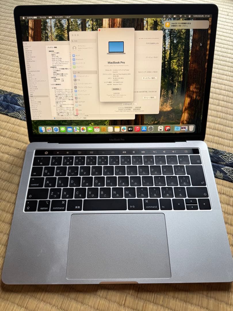 MacBook Pro 13インチ 2019年 メモリ16GB