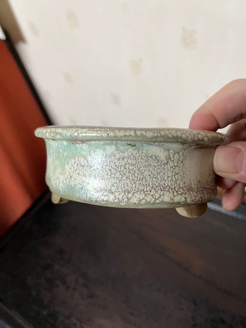 三河盆栽459 盆栽　盆栽鉢　植木鉢　和鉢　俊豪