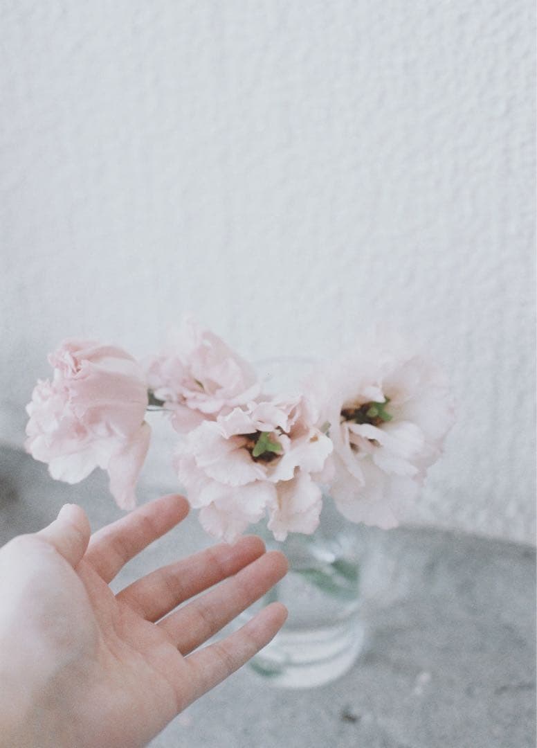 OLYMPUS OM-1 F.ZUIKO 50mm F1.8 フィルムカメラ