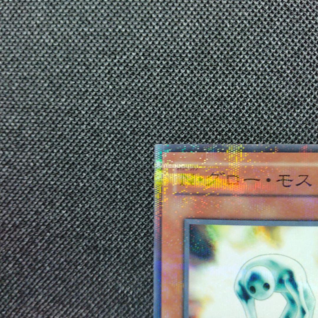 N グローモス パラレル ノーパラ