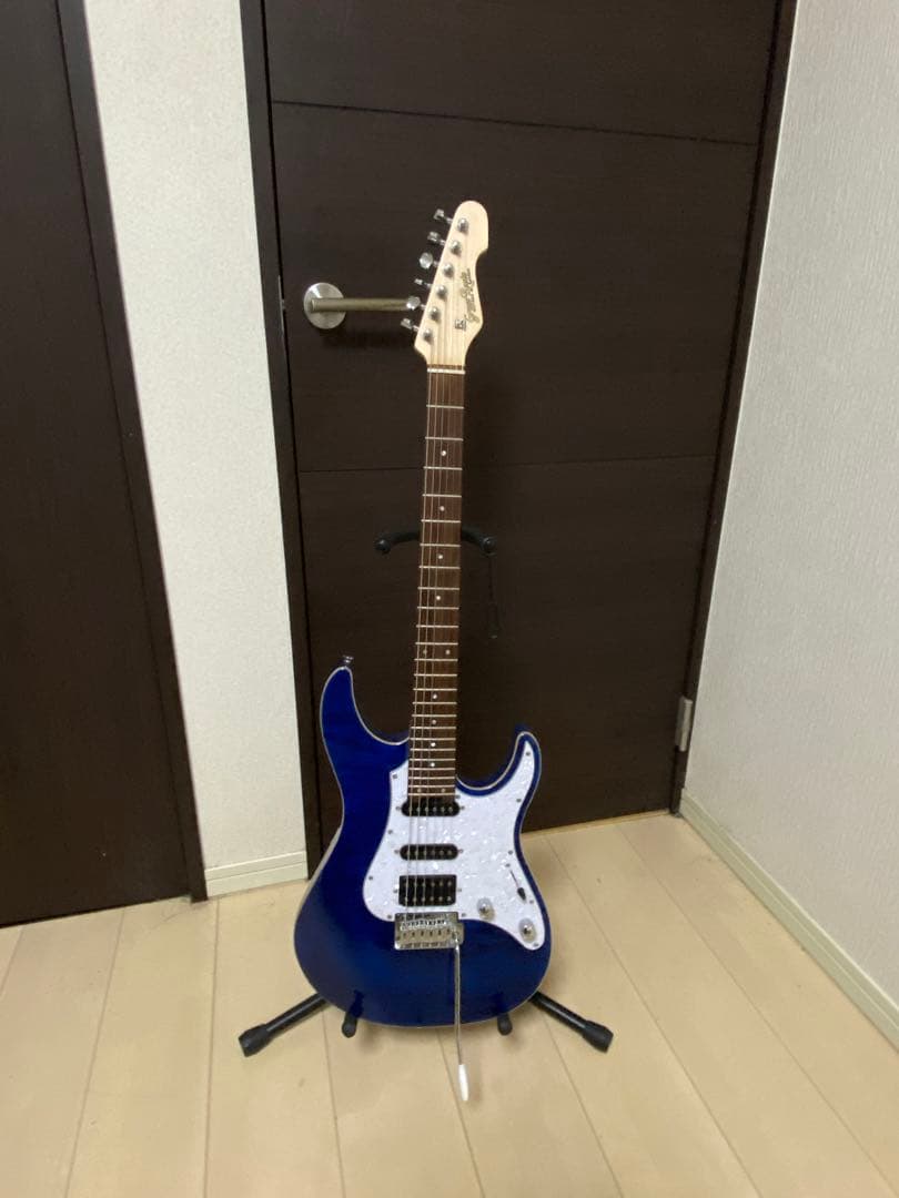 極美品！ESP GrassRoots G-SN-CTM おまけ付き