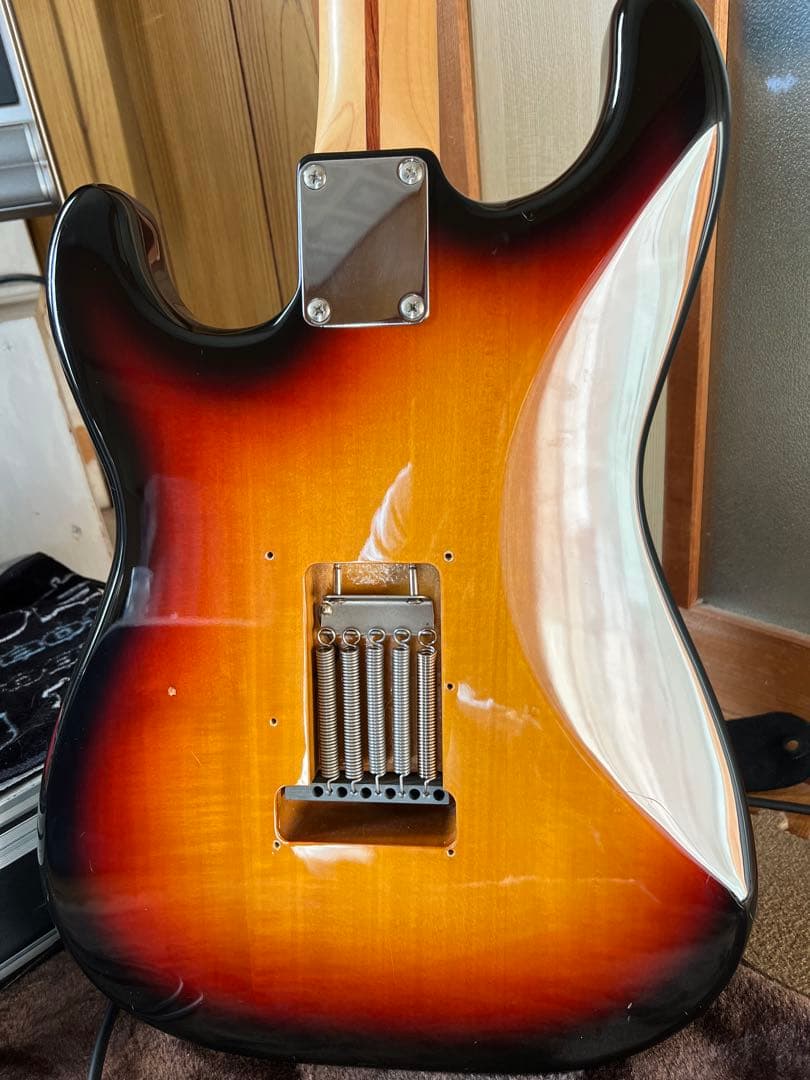 FGN ストラトタイプ　調整済み