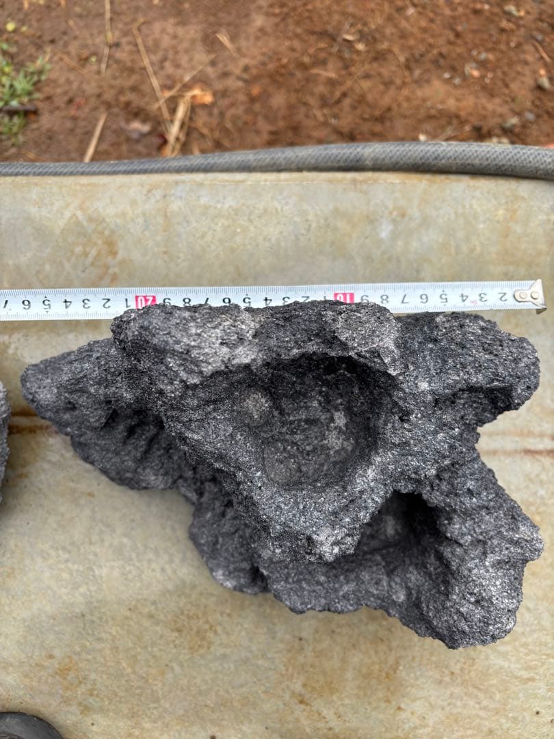 ADA 雲山石　セット　良形