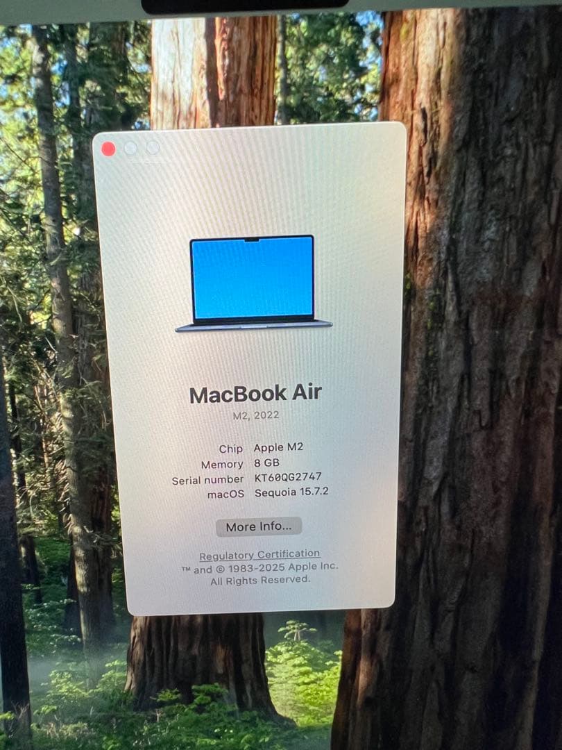 MacBook本体 Apple MacBook Air (2022)